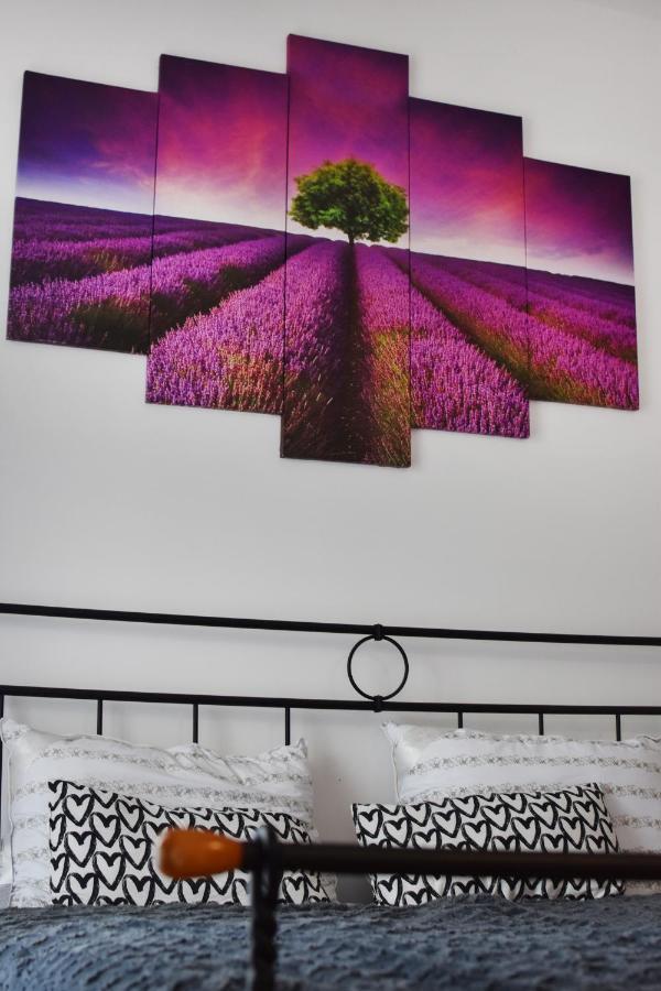 Studio Apartment Old Town Castle Samobor Ngoại thất bức ảnh